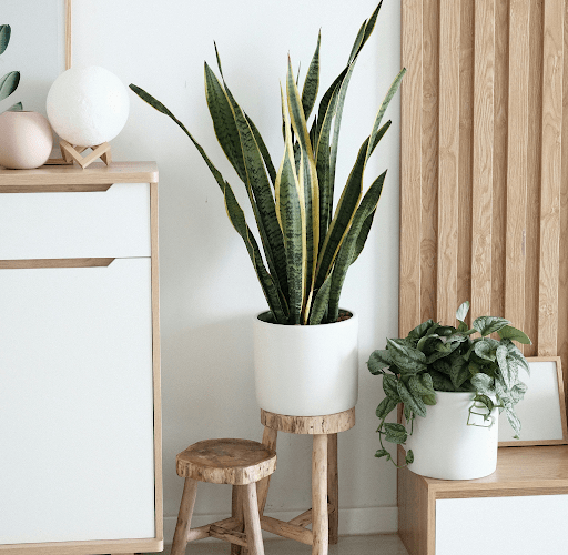 Freshen Up Your Space