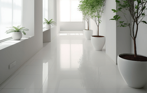 Everlasting Appeal of Pristine White