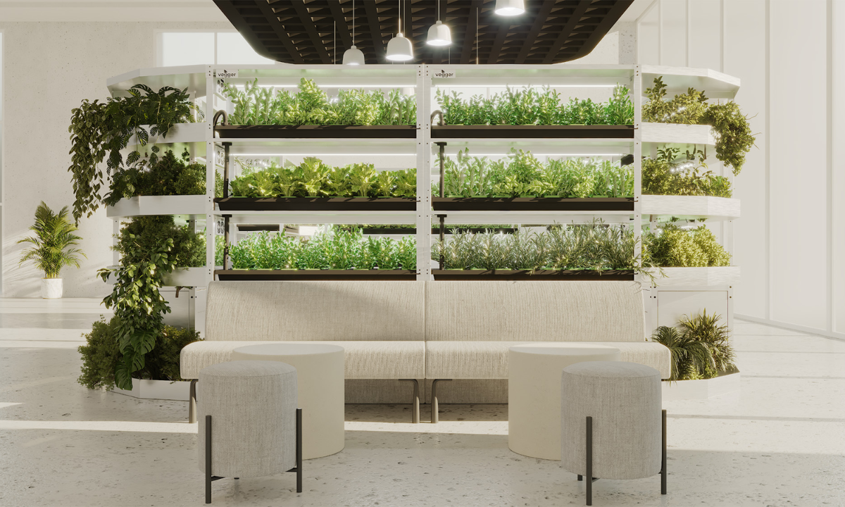 Indoor Herb Gardens